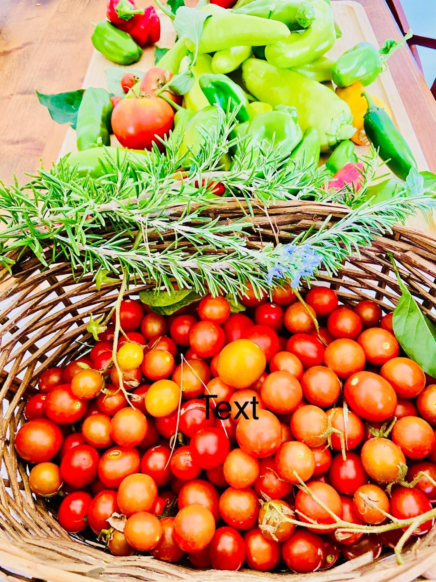 Finca Sa Canova Agroturismo Campos  Luaran gambar